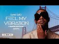 Feel My Vibration | Live Experience "Lisbon Edition" | Vol.32 | Danni Gato