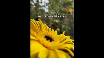 (ٱلذين ءامنُواْ وَعَمِلُواْ ٱلصَّٰلِحَٰت طُوبَىٰ لهم وحسن مَـَٔابٖ(29)#قرآن#سورة_الرعد#عبدالله_الخلف