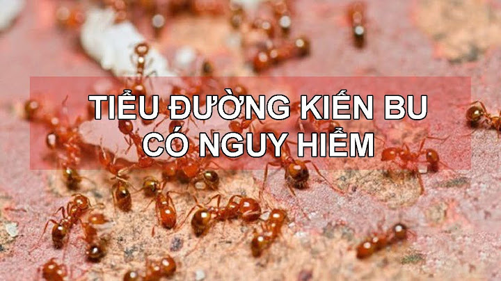 Tại sao kiến bu vào người