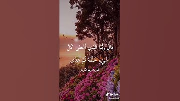 سورة طه القارئ رعد الكردي قَالَ فَمَنً ربَكّمَا يَا موسَئ