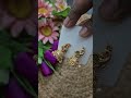 Live highlight/100rs jhumkas/free shipping available #viralvideo #shortsfeed #ytshorts