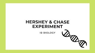 Ib Biology Hershey & Chase Experiment