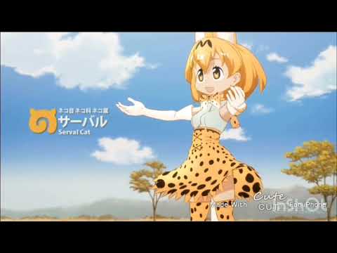 サーバル・オブ・キャット【音mad】【けものフレンズ】