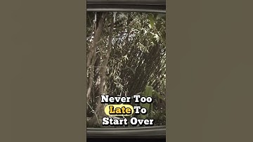 Never too late start again #lifelessons #facts #liferegrets #lifeadvice #motivationalvideo #shorts