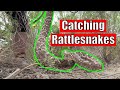 Hunting for Rattlesnakes in South Texas (These Guys Are Crazy!)