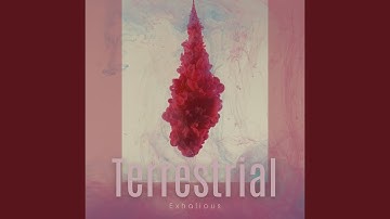 Terrestrial
