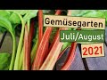 Gartenrundgang Juli/August 2021 😕 Braunfäule an Tomaten 🍅 Gurken ernten im Hochbeet 🥒 Gartenteich 🌾