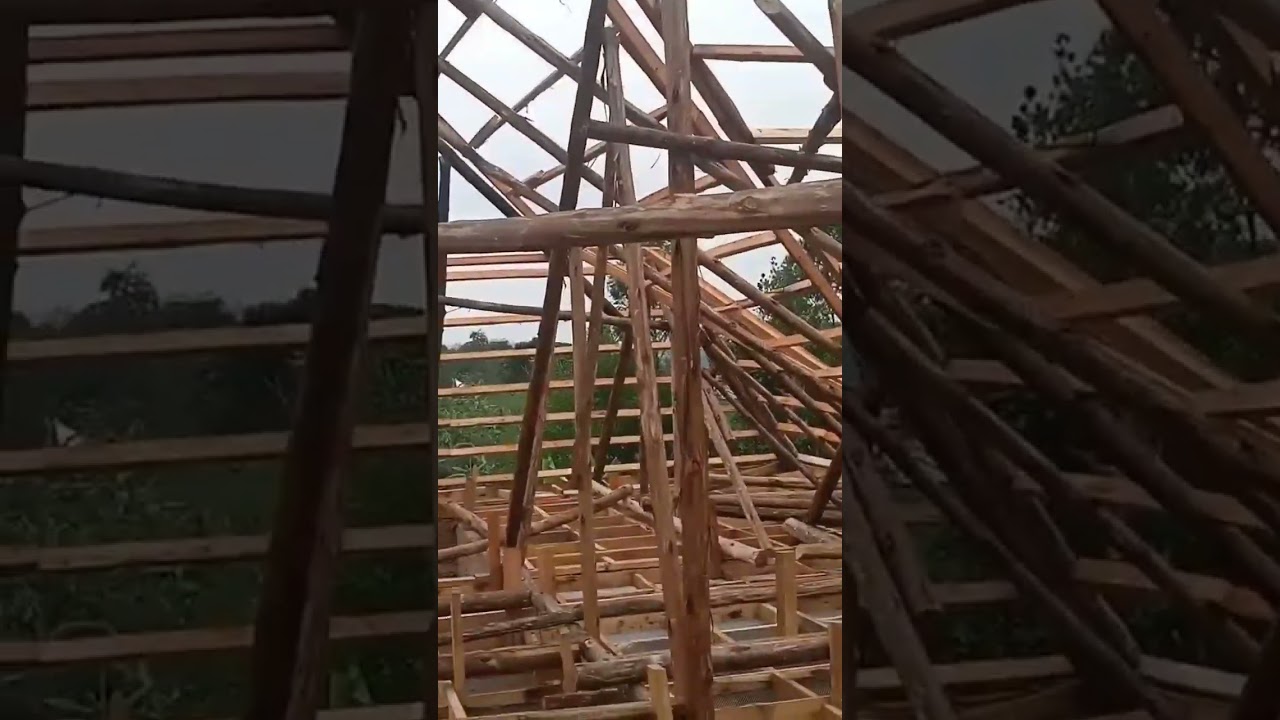 roofing and ceiling using eucalyptus poles