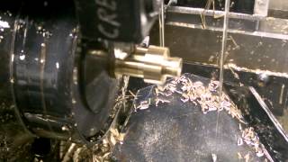 Somemore Dsma Action