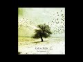 Celtic Hills (Celtic Folk Music)