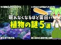 【総集編】眠れなくなるほど面白い植物の謎５選【ずんだもん解説】