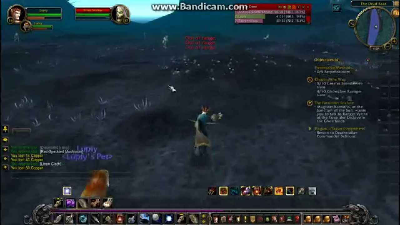 Wow blood elf hunter leveling YouTube