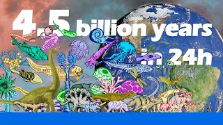 The History of the Earth and Life: 4.5 Billion Years in 24 Hours by G's Data Lab 7,280 views 3 months ago 5 minutes, 6 seconds