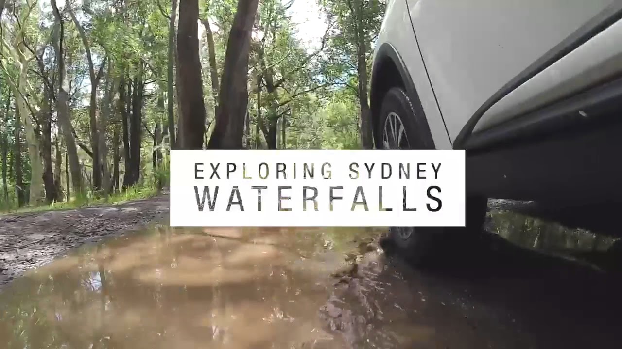australia แปลว่า SYDNEY WATERFALLS with Ranger Jamie