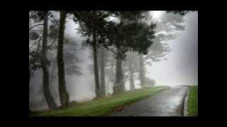 Undecided: Song by Deep Forest and Youssou N'Dour