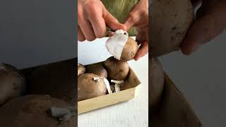 Домашние вареники с картошкой и грибами shorts