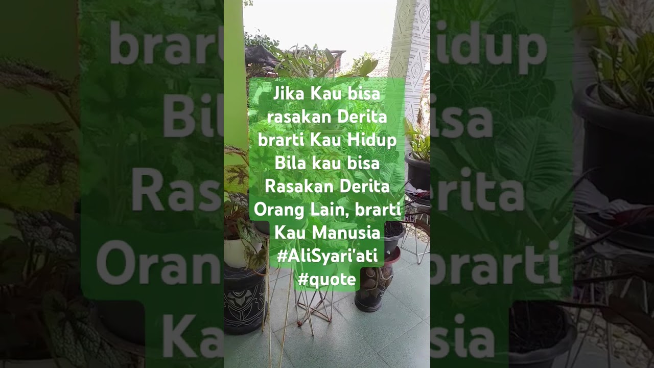 LKPD KELAS 12 SEMESTER GENAP TP 2021/2022 - Flip eBook Pages 1-45 | AnyFlip, image size:1280x720