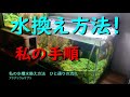 25 ++ 水槽 水換え 頻度 水草 177779-水槽 水換え 頻度 水草