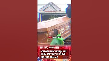 CON GÁI KHÓC NGHẸN KHI QUAN TÀI VƯỢT LŨ VỀ TỚI CỬA NHÀ #tintuc #tinnong24h #tintuc24h #shorts