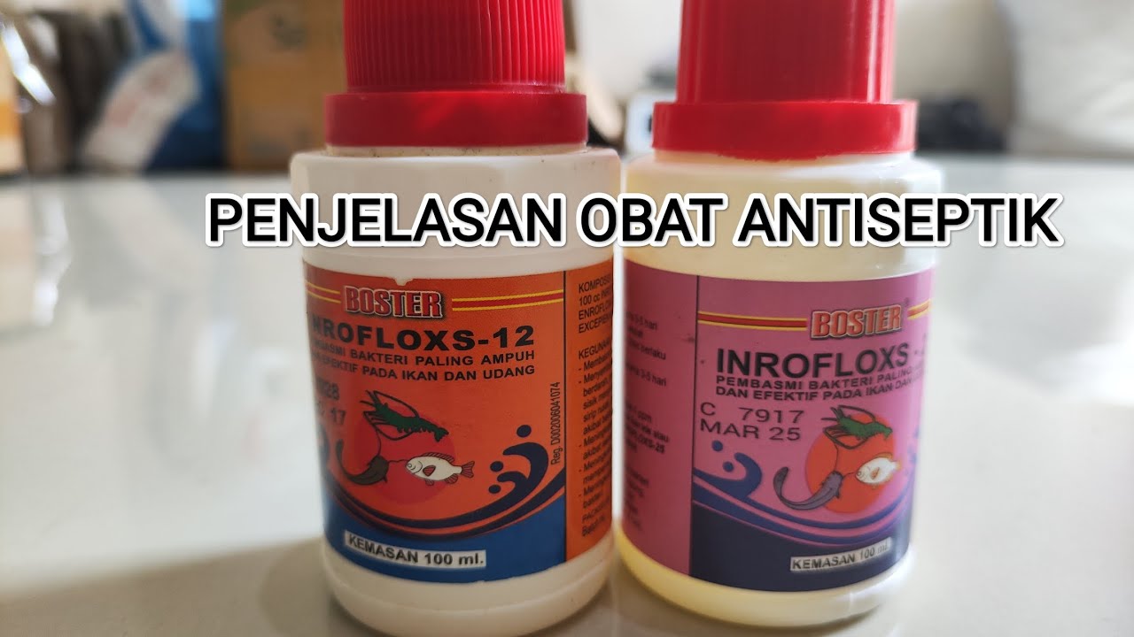 PENJELASAN OBAT ANTISEPTIK untuk bibit Lele - Ihdan nizar aza - YouTube