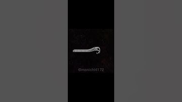 Younger... #samandcolby #samgolbach #colbybrock #snc #edit #shorts