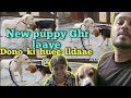 Ek Or New Puppy Ghar La Aaye Usa Dekh Sabhi Dogs Ka Reaction?|| dono may huee lldaae