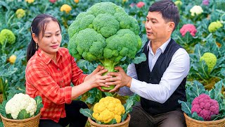 Download Lagu Harvest Giant Broccoli with Husband to Sell at Market, Cook Steamed Eggs with Broccoli for Family MP3 Download Lagu Harvest Giant Broccoli with Husband to Sell at Market, Cook Steamed Eggs with Broccoli for Family MP3