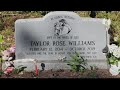 It still hurts remembering the disappearance of 5yearold taylor williams one year later