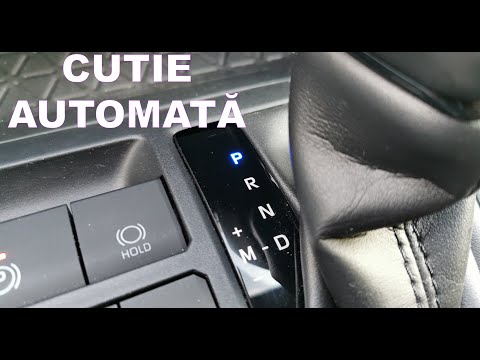 Video: Ce sunt lemele în învățarea automată?