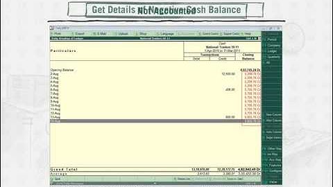 Be Audit Ready with Tally ERP 9