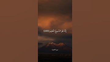 وَتَوَكَّلْ عَلَى الْعَزِيزِ الرَّحِيمِ || سورة الشعراء || علي جابر