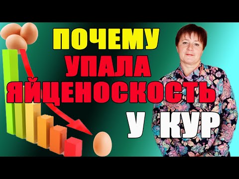 Почему у кур упала яйценоскость? Причины и решения.