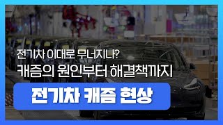 [KR/EN] 전기차 시장의 캐즘 현상, 원인과 해결 방법에 대해 알아보자 The Cause and Overcoming of Electric Vehicle Cascism