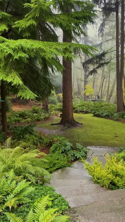 The Secret Life of Trees