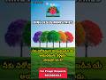 KJM వాగ్దానము #kingjesusministries #ytshorts #motivation #reels #love #viral #viralvideo #video