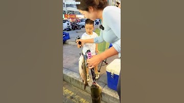 cô cần thủ lấy cá đổi gà dán của 2 bố con chủ quán tốt bụng bán ở vỉa hè và cái kết  #fishing #cauca