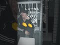 「失恋大歓迎」フルはサブスク配信中! #邦ロック #音楽ユニット #エモ動画 #歌ってみた #バンド #オリジナルmv #恋愛ソング #ライブ #音楽 #歌詞動画