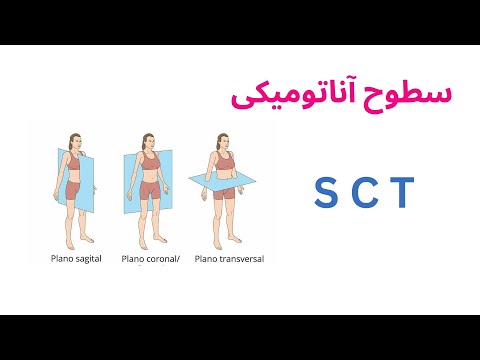 معرفی کامل سطوح آناتومیکی و حرکات مهم مفاصل درمحورهای حرکتی