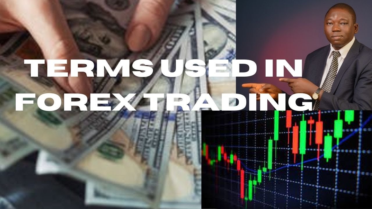 Terms Used In Online Forex Trading - Forex Terms Every Trader Should ...