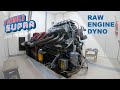 Judd V10 Raw Engine Dyno Formula Supra ( BONUS )