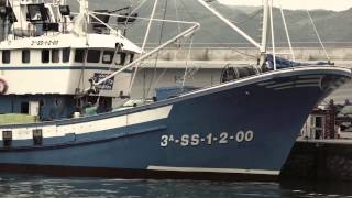 Pesca tradicional de merluza y pescadilla