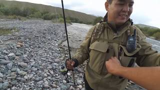 #Форель#Trout#Kyrgyzstan#KG#Балык#Spinning