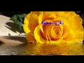 ابراهيم عوض ابسمى يا ايامى