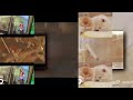 103 Shuric Scans with are Slides ABCmouse Search and Explore vs Lucky Paws