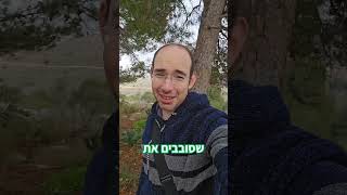 ט"ו בשבט שמח, השקדיה פורחת באדורים #אדוריםהחדשה #טו_בשבט #טובשבט #התיישבות #התיישבותימשמעותי