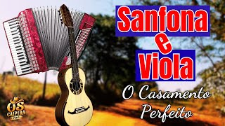 ✨Pra Relaxar | 30 Minutos de Modão Instrumental 🎶