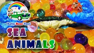Sea Animals. Морские Животные. Sea Animals. Морские Животные.