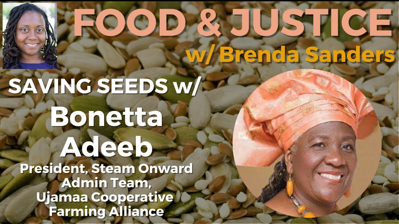 Brenda Interviews Boneeta Adeeb of the Ujamaa Cooperative Farming ...