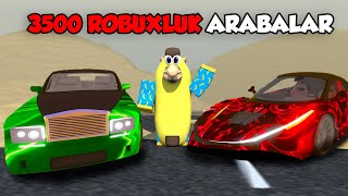 I Drove Robux Cars