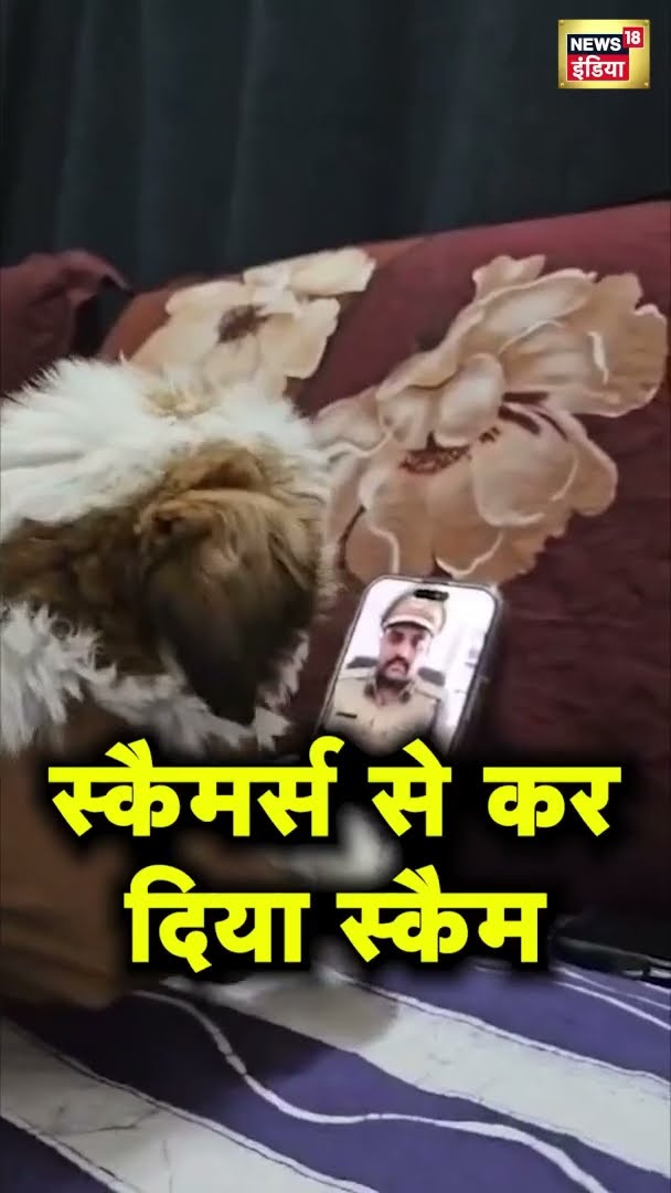मुंबई पुलिस बनकर कॉल किया, शख्स ने कुत्ते से कराई 'बात' | Online Scammers | News18 India